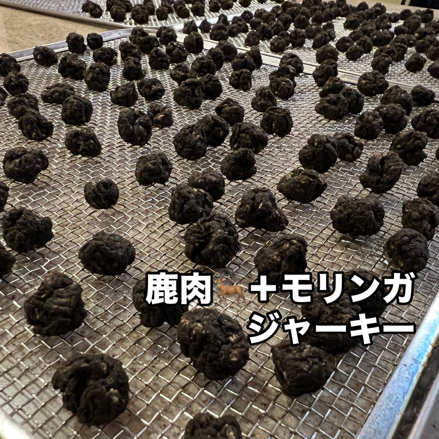 エゾ鹿肉×モリンガのビッツ