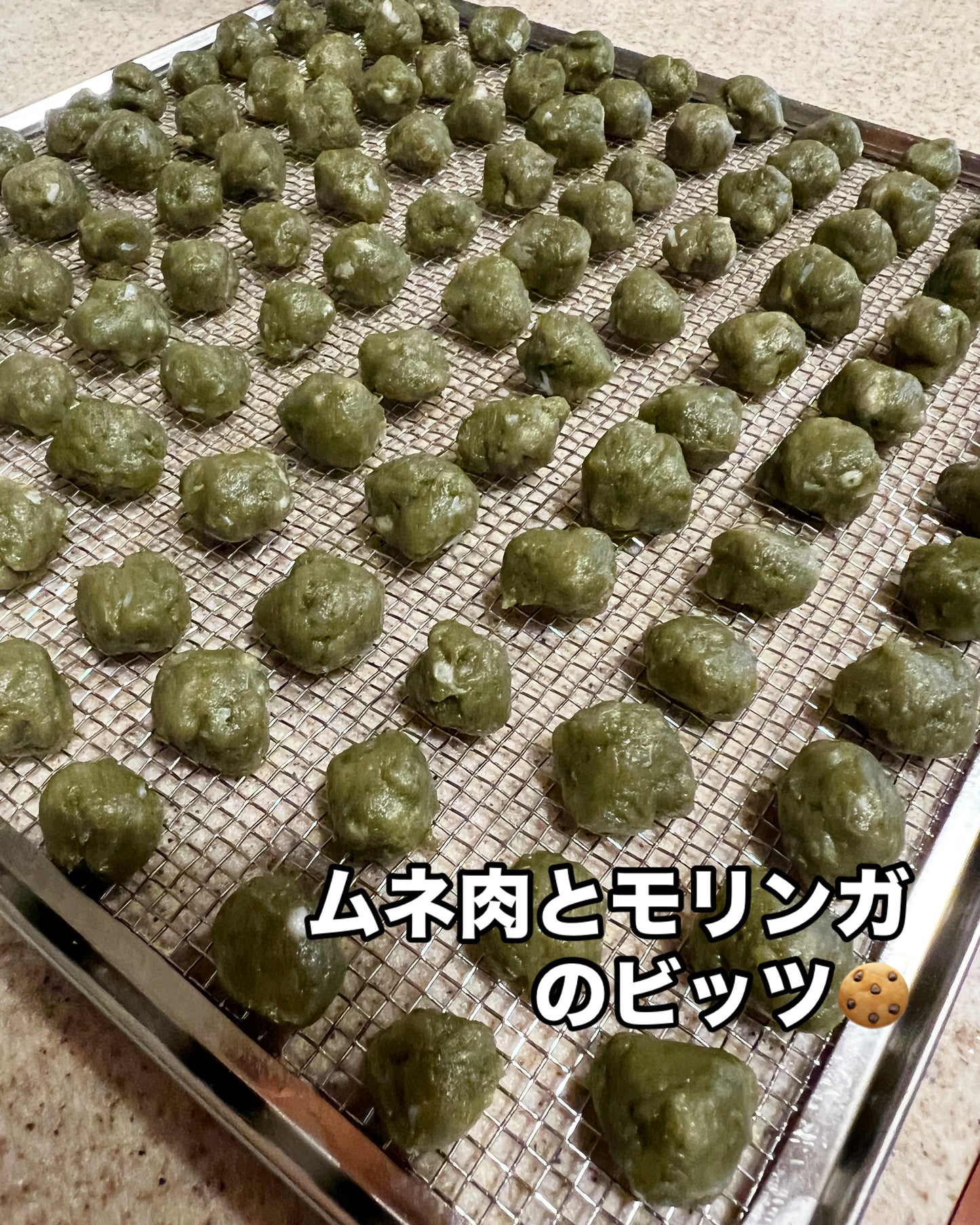 鶏ムネ肉+モリンガのビッツ