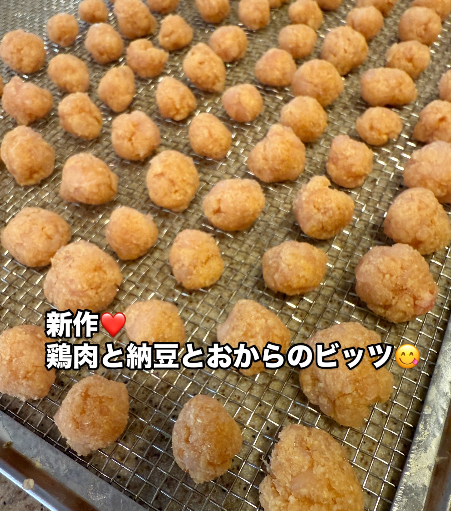 鶏肉+納豆+おからのビッツ
