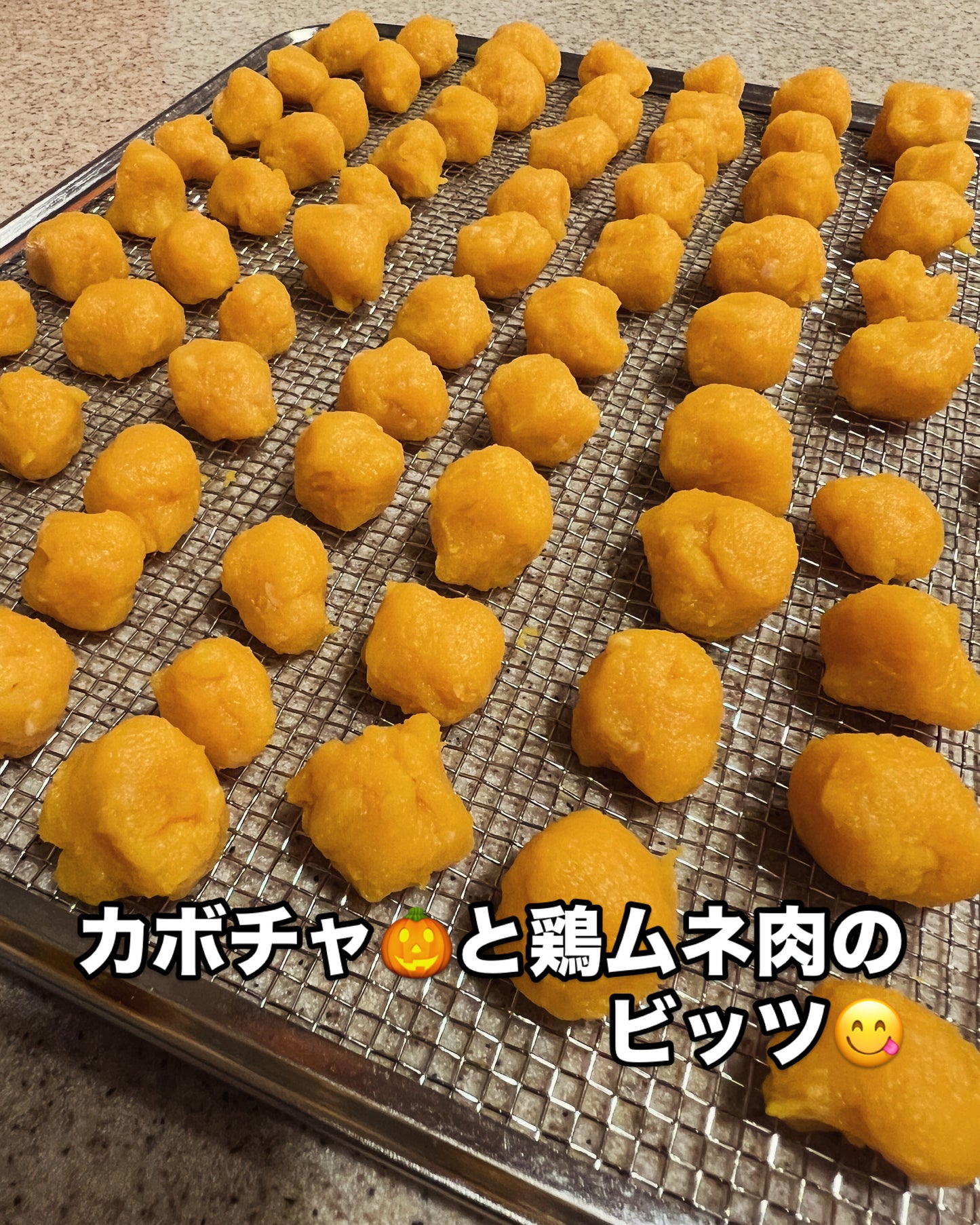 鶏ムネ肉+カボチャのビッツ