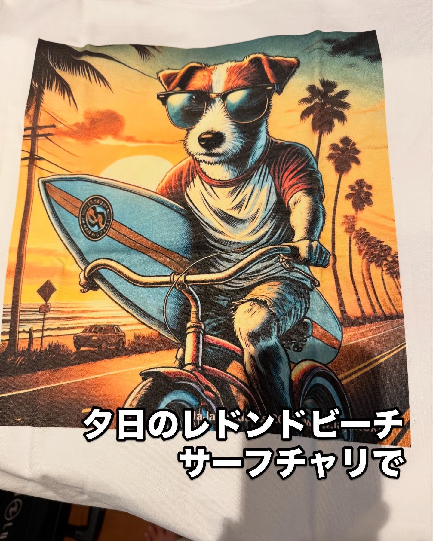 夕日のレドンドビーチ、サーフチャリで