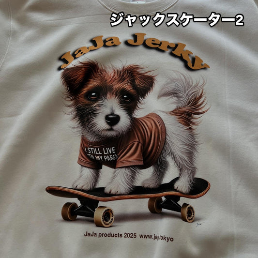 JaJaスケーター2